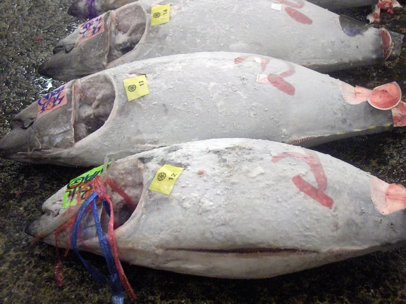 resources of Frozen seafood exporters resources of Frozen seafood exporters