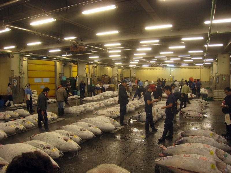 resources of Frozen seafood exporters