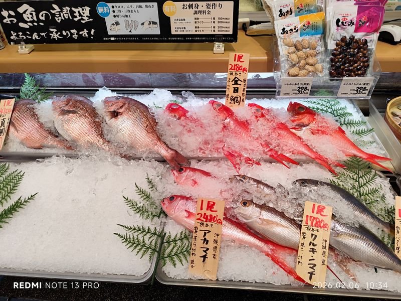 resources of Fresh Fish exporters