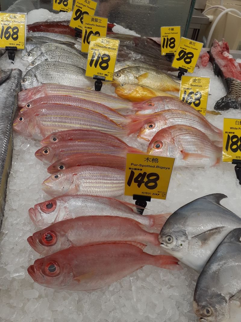 resources of Red fish exporters