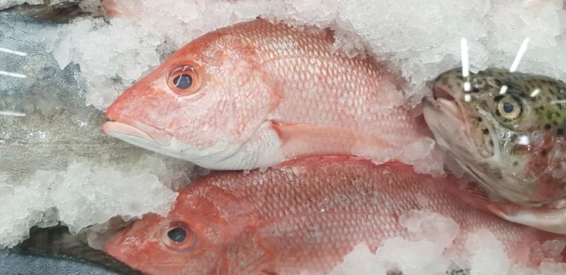 resources of Frozen red tilapia exporters