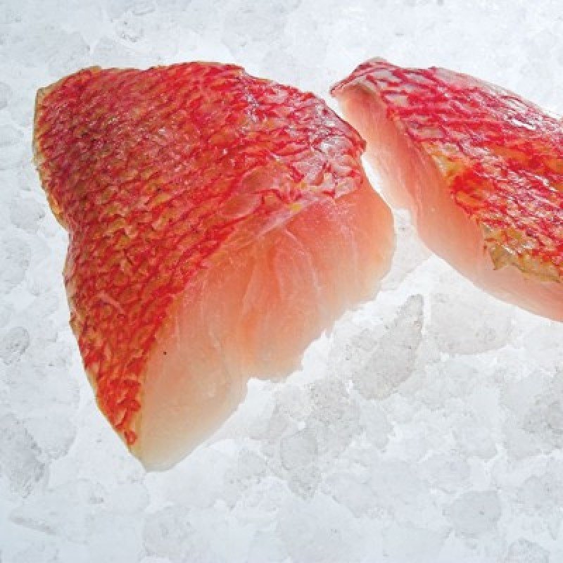 resources of Yello Snapper Fish exporters