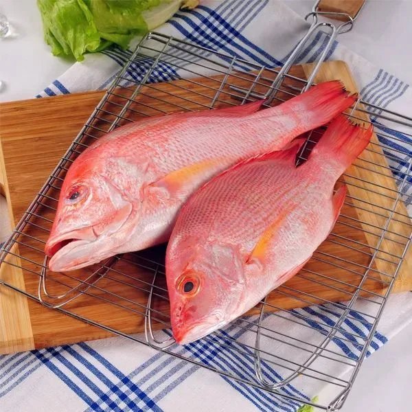 resources of RED SNAPPER exporters