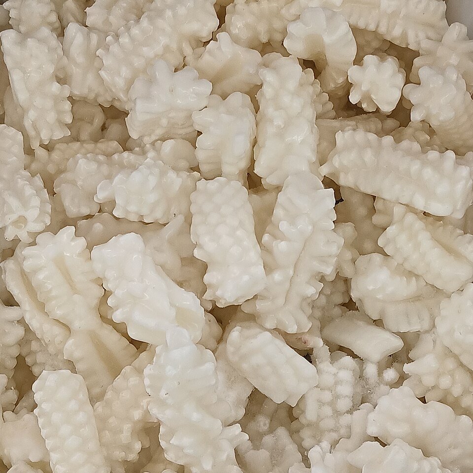 resources of Frozen Whole Squid exporters