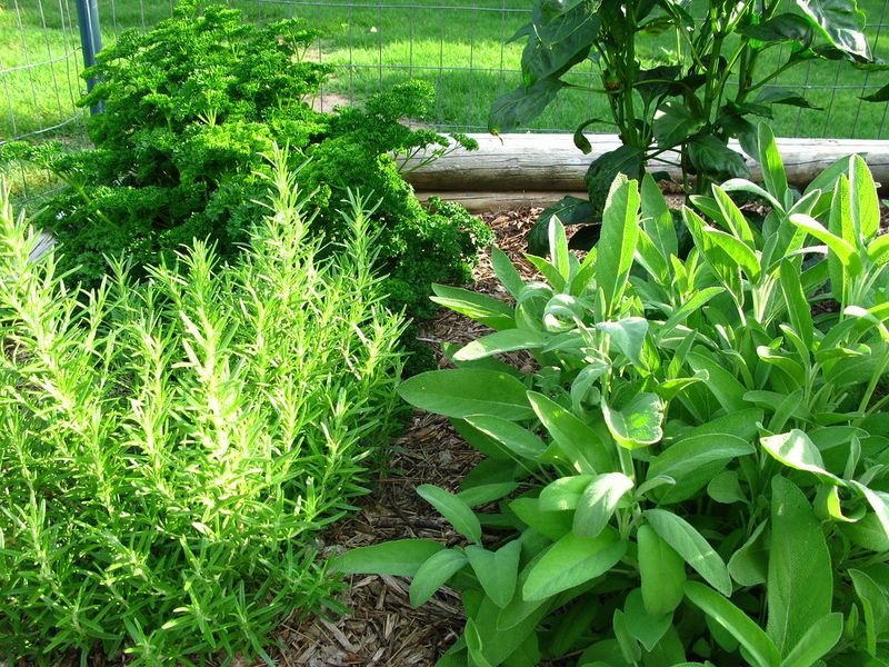 resources of Garden assoceries exporters