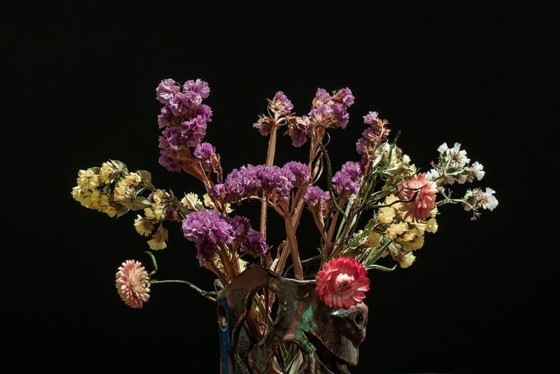 resources of Self-Created! Dry Look Flower Collection exporters