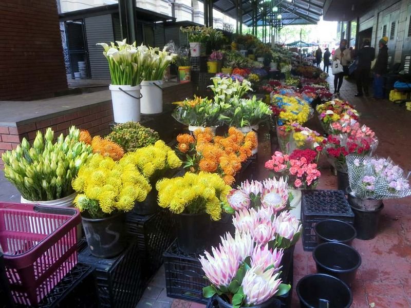 resources of China Flower Supplier Fresh Cut Rose for Garden Wedding exporters
