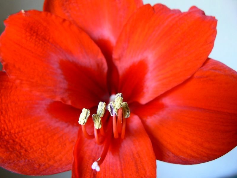resources of Gorgeous Flower shape 18k solid gold charm exporters