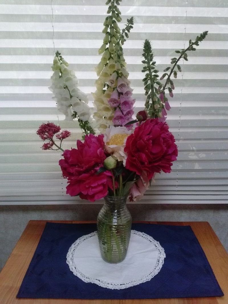 resources of Bloomkeeper flower preservative exporters