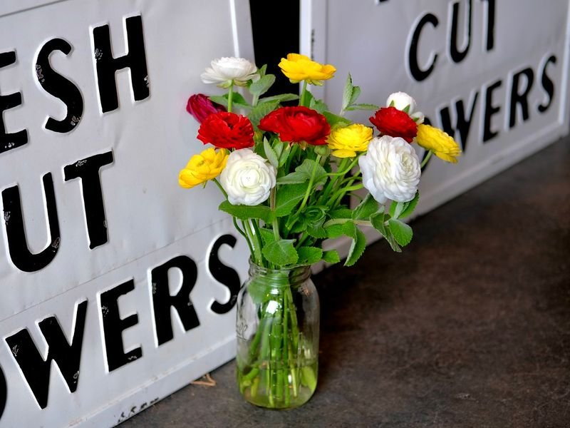 resources of Fresh cut flowers exporters