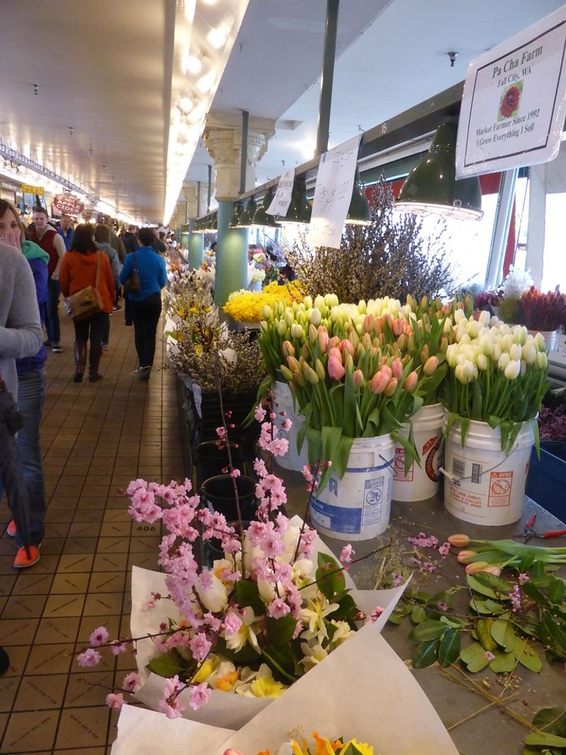 resources of Fresh cut flowers exporters