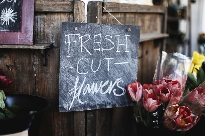resources of Fresh cut flowers-lily exporters