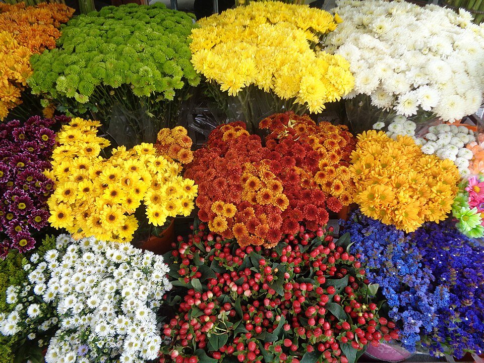 Fresh Flowers Exporters, Wholesaler & Manufacturer | Globaltradeplaza.com