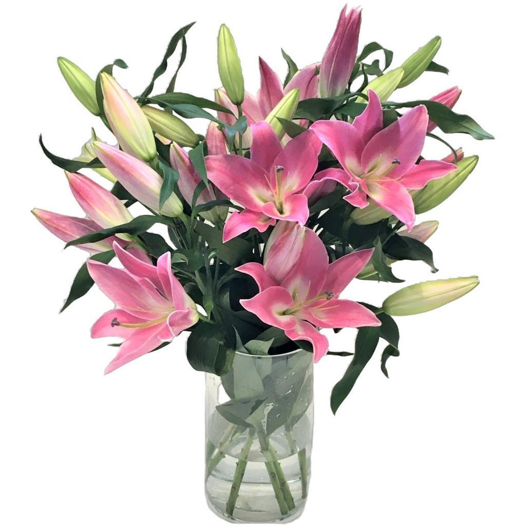 resources of Rose De Mai Reconstituted Absolute exporters