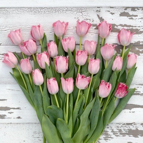 resources of Tulip wood flowers exporters