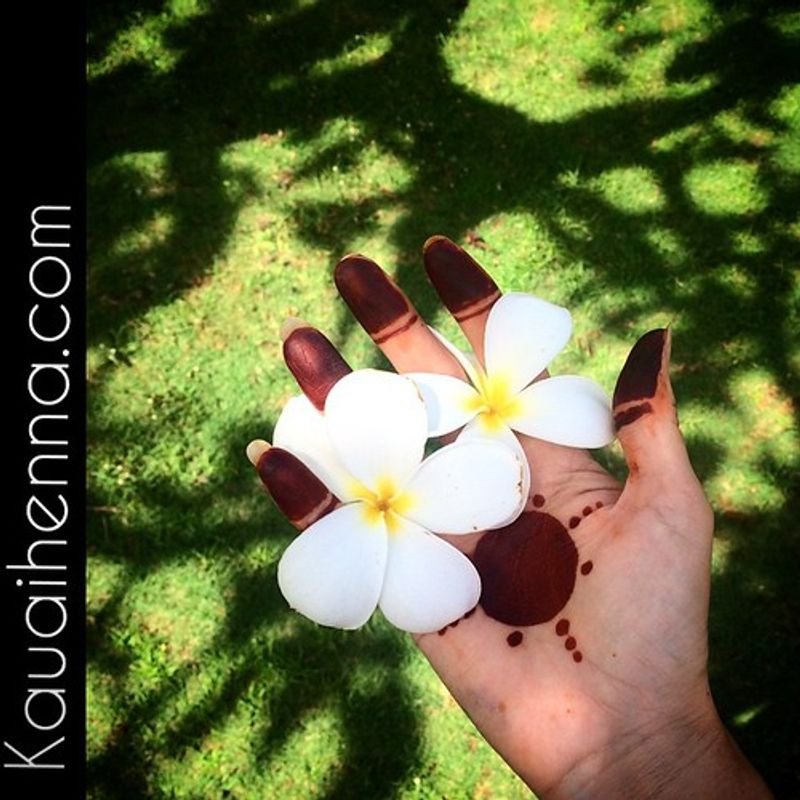 resources of Hawai exporters
