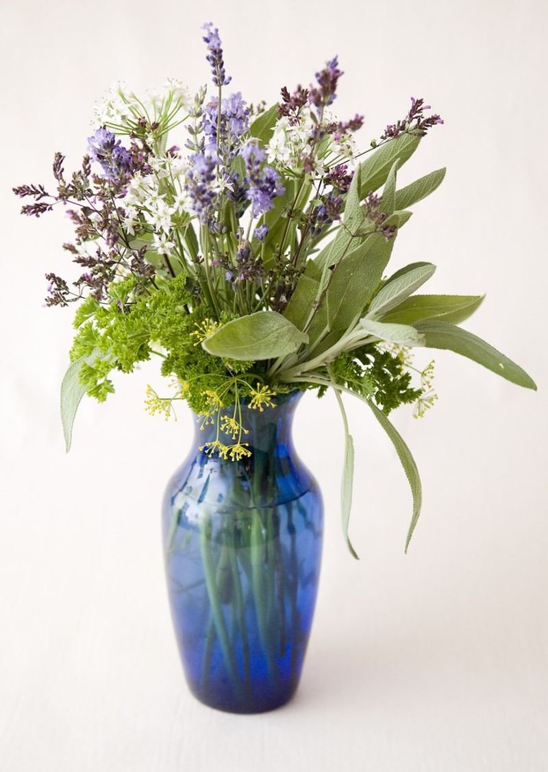 resources of Herbs exporters