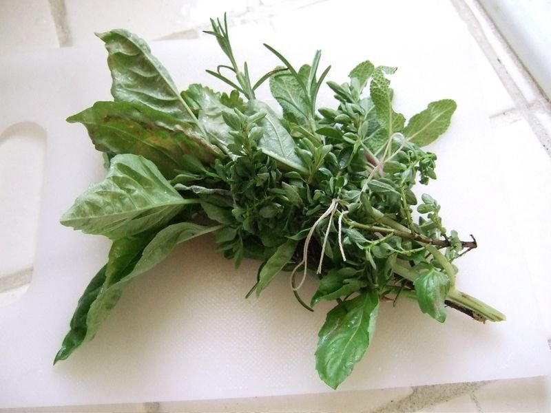 resources of Holy Basil (tulsi) exporters