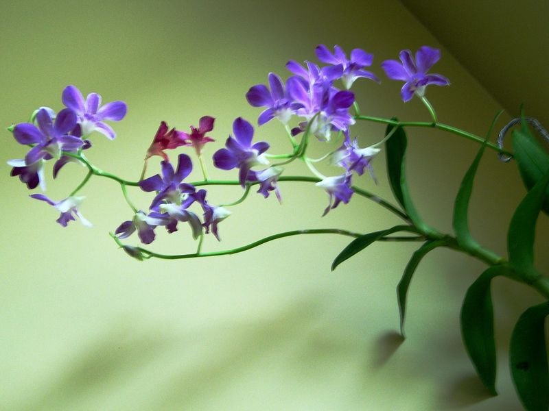 resources of Florfenicol exporters