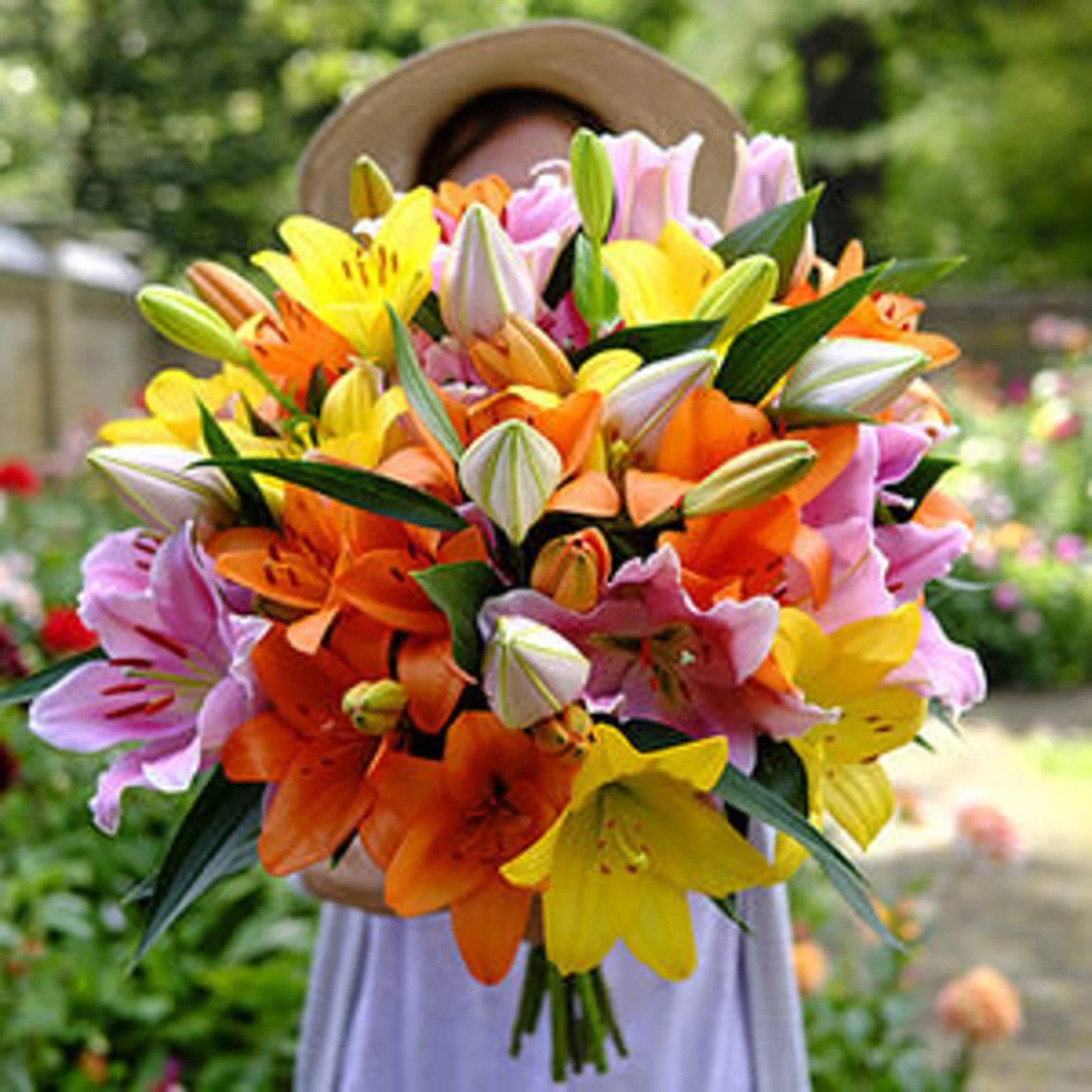 resources of Spring exporters