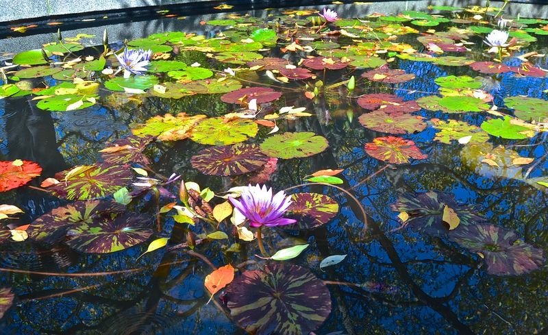 resources of Floral Waters exporters
