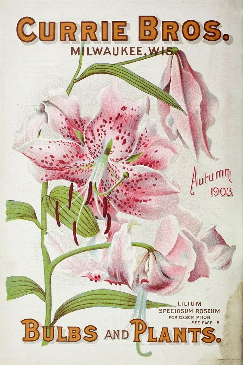 resources of Autumn exporters