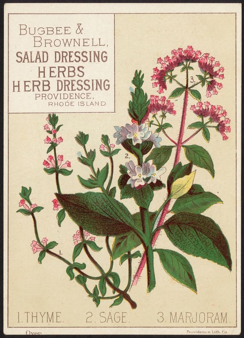 resources of Pearl Dressing exporters