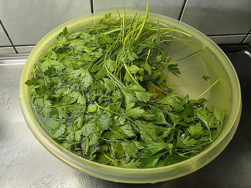 resources of PARSLEY FLAKES exporters