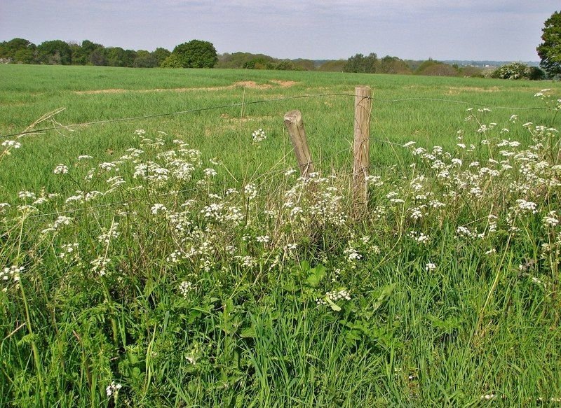 resources of Grassland fence exporters