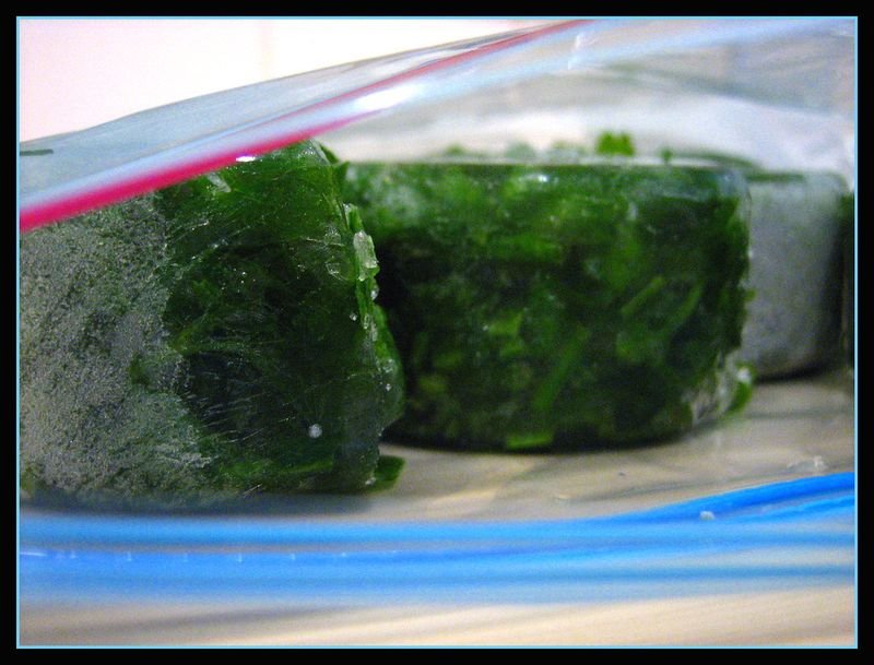 resources of Seasoned Seaweed Gimbab Onigiri exporters
