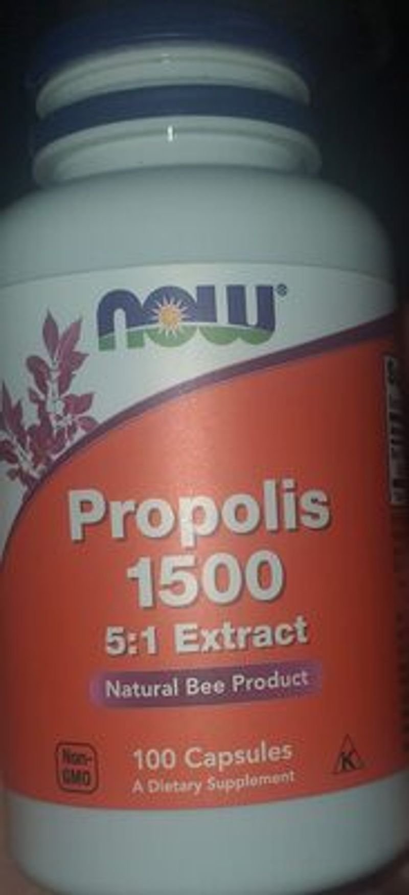 resources of Probiotic exporters