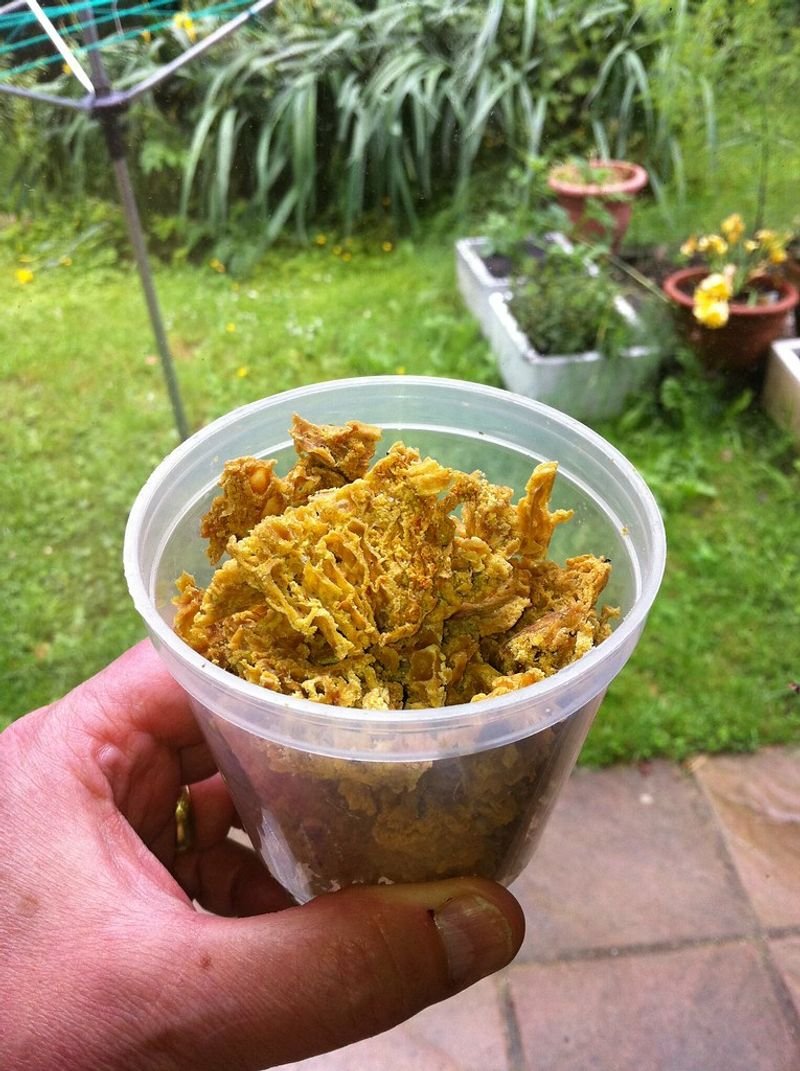 resources of Water Soluble Propolis Resin exporters