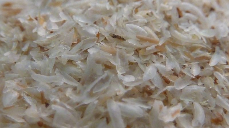 resources of Broken Rice exporters