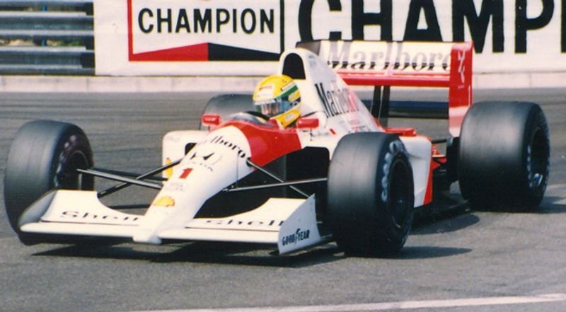 resources of Senna leave exporters