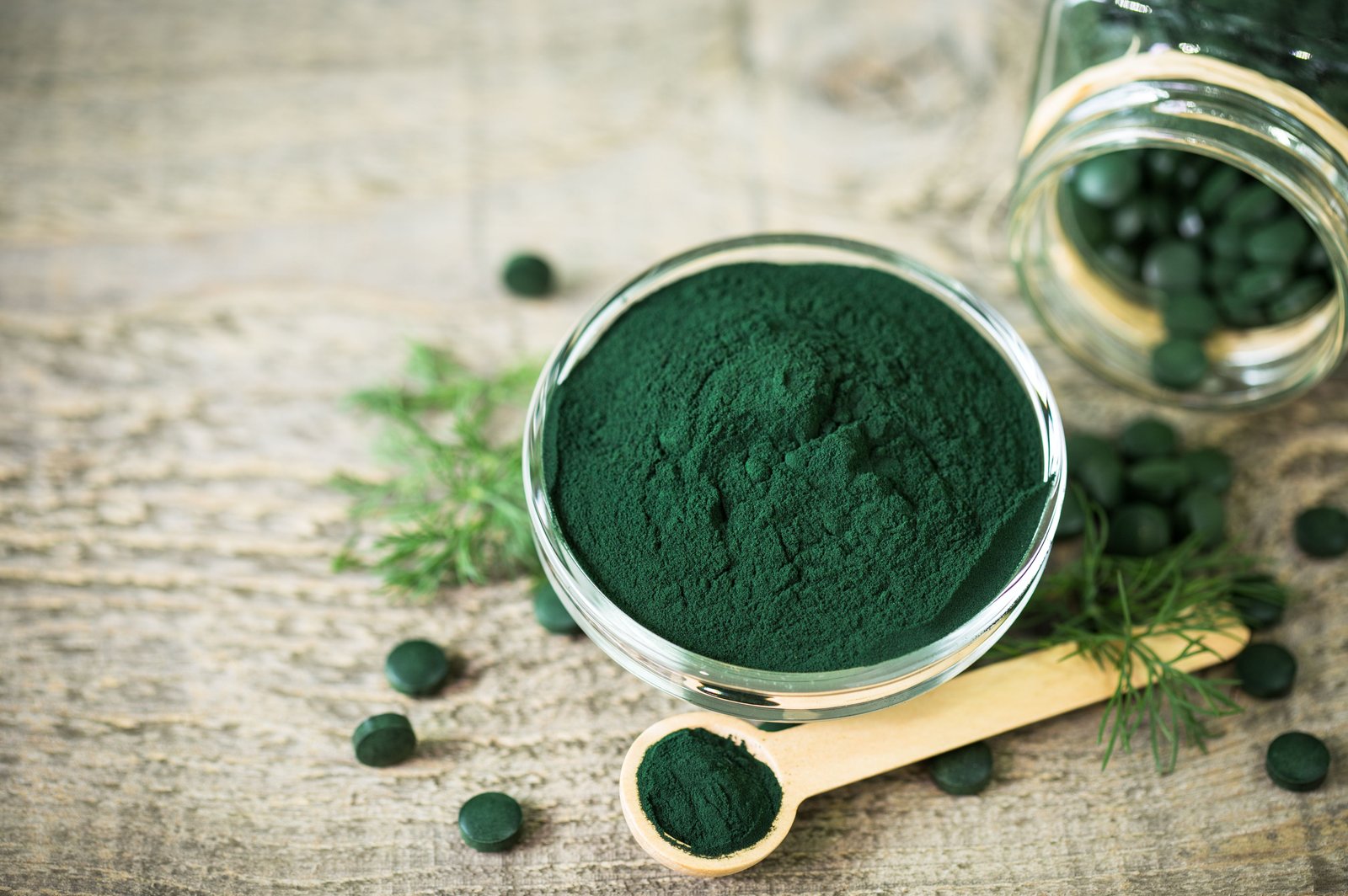 resources of Spirulina Powder exporters