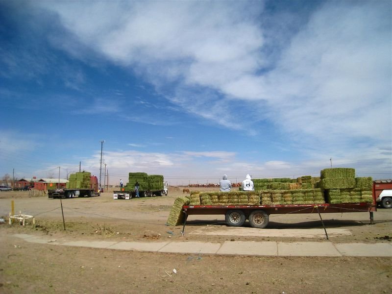 resources of Lider Lowbed Semi Trailer exporters