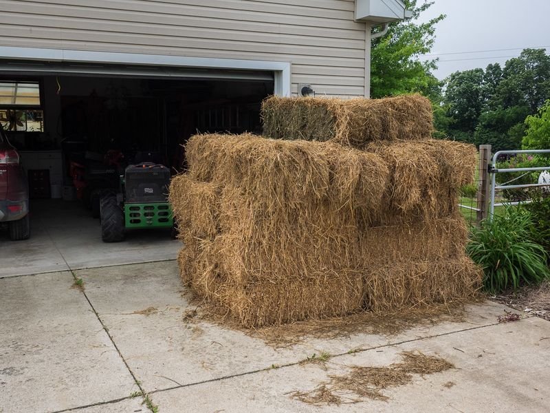 resources of Plus Size Bales exporters