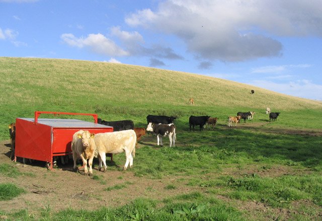 resources of Feed Additive Meagazone E exporters