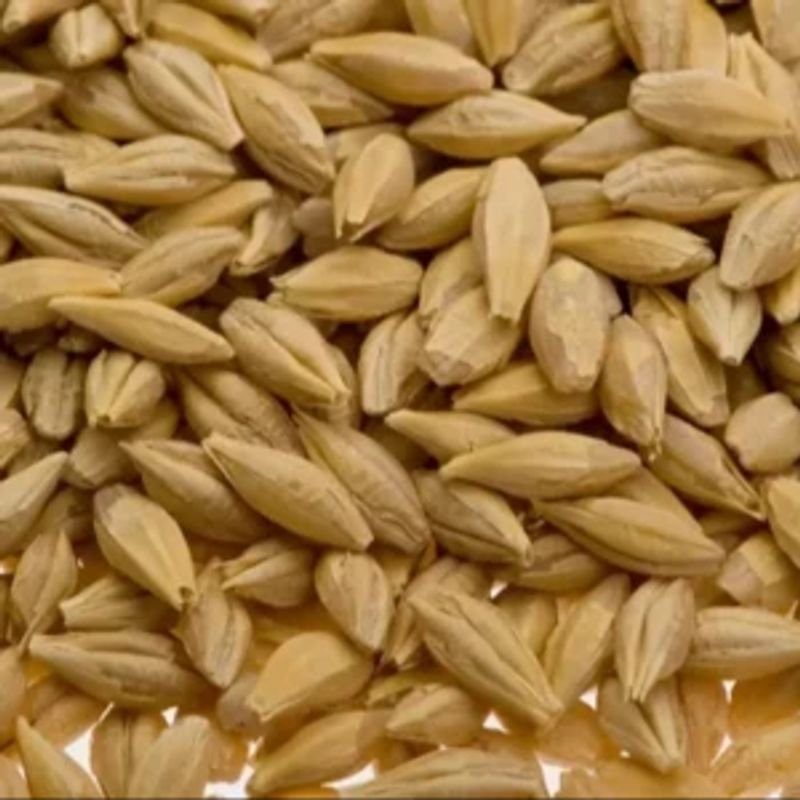 resources of Animal Feed and Feed Meal exporters