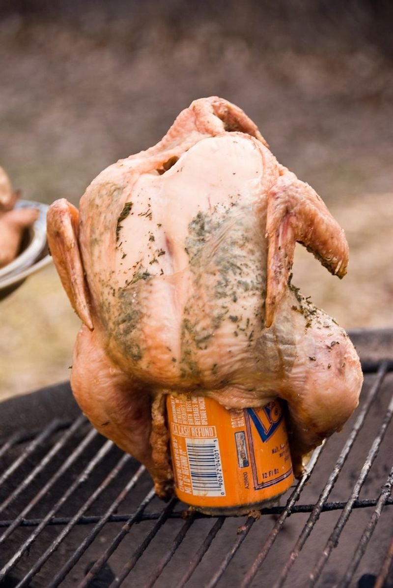 resources of Cobb broiler chick exporters