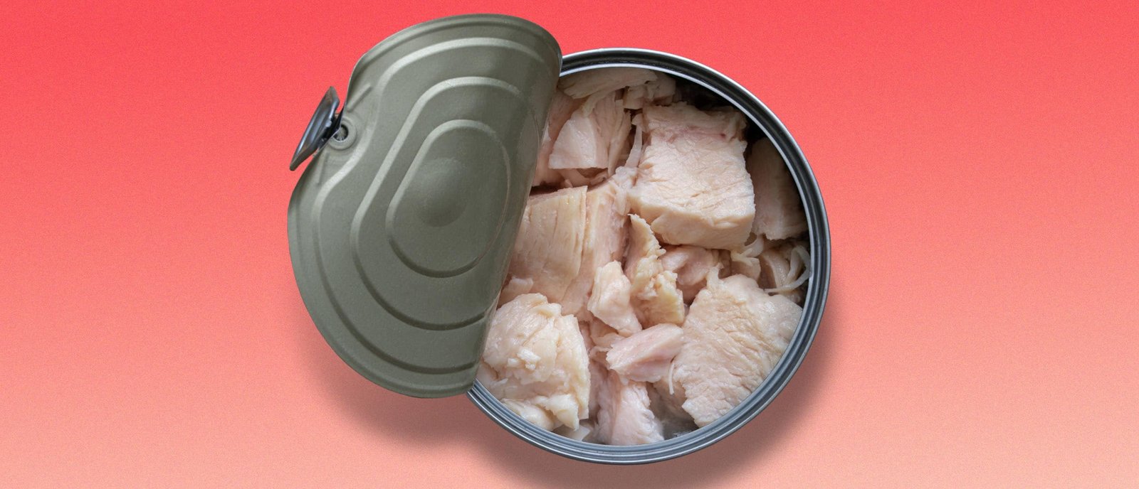 resources of Canned Tuna In Oil exporters