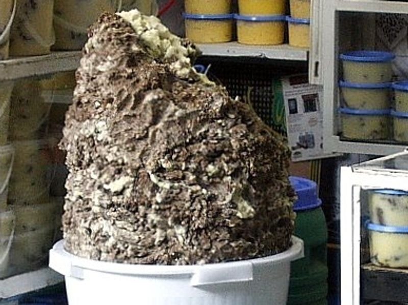 resources of Cow dung Cake exporters