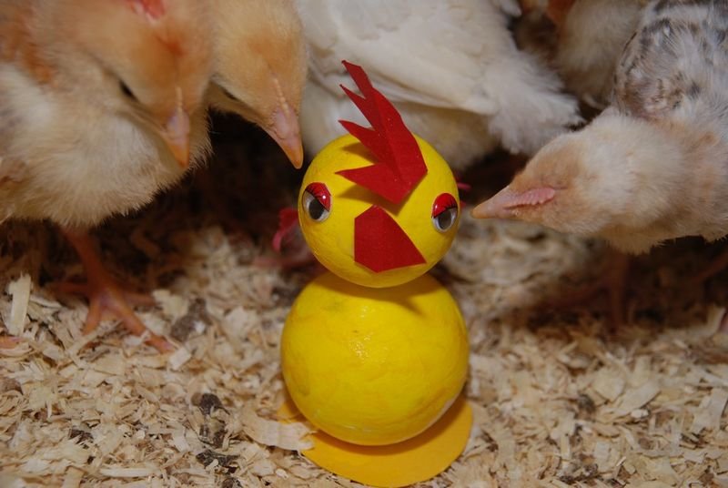 resources of Cute colorful pvc anime toys exporters