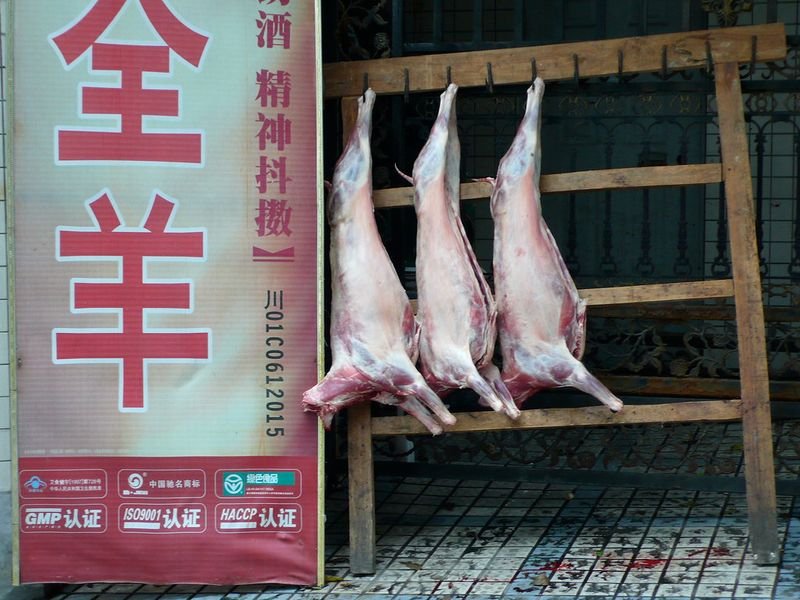 resources of Steak Maestro Australia Lamb exporters
