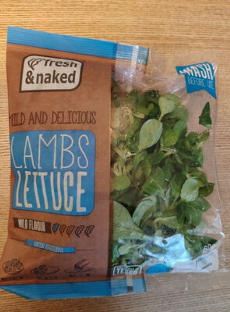 resources of Lettuce iceberg exporters