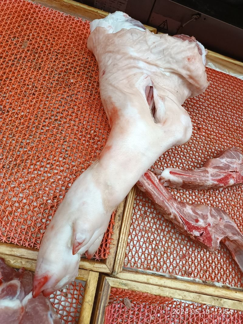 resources of Frozen Chicken Paws exporters