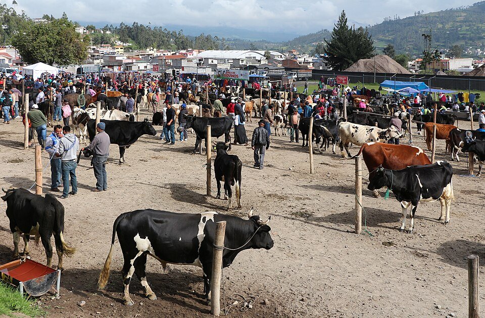 resources of Livestock Stench Extractor exporters