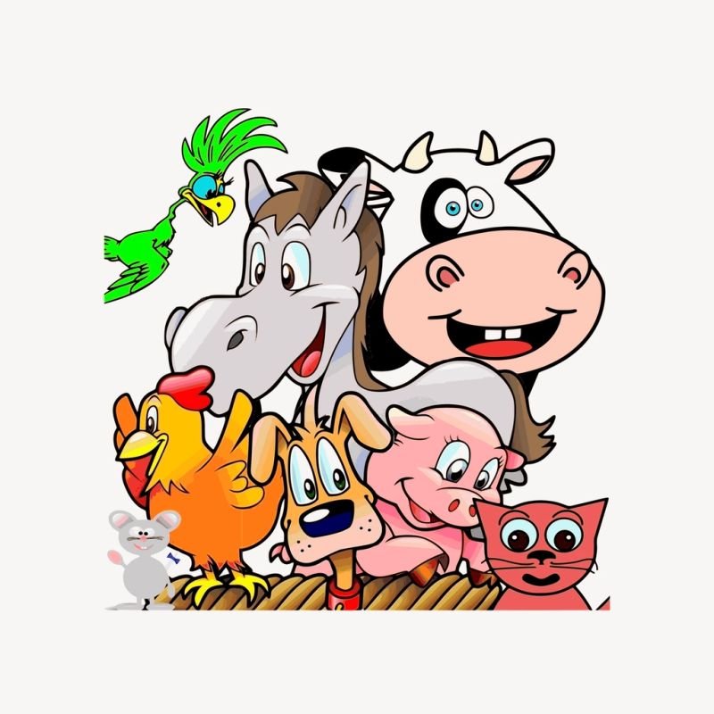 resources of Fryums Zoo safari exporters