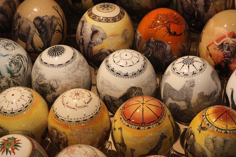 resources of Parrot Eggs/ostrich Eggs /fertilized Quail Eggs exporters