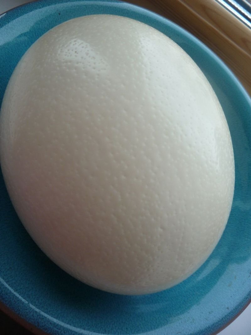 resources of Microwave Egg Cooker exporters